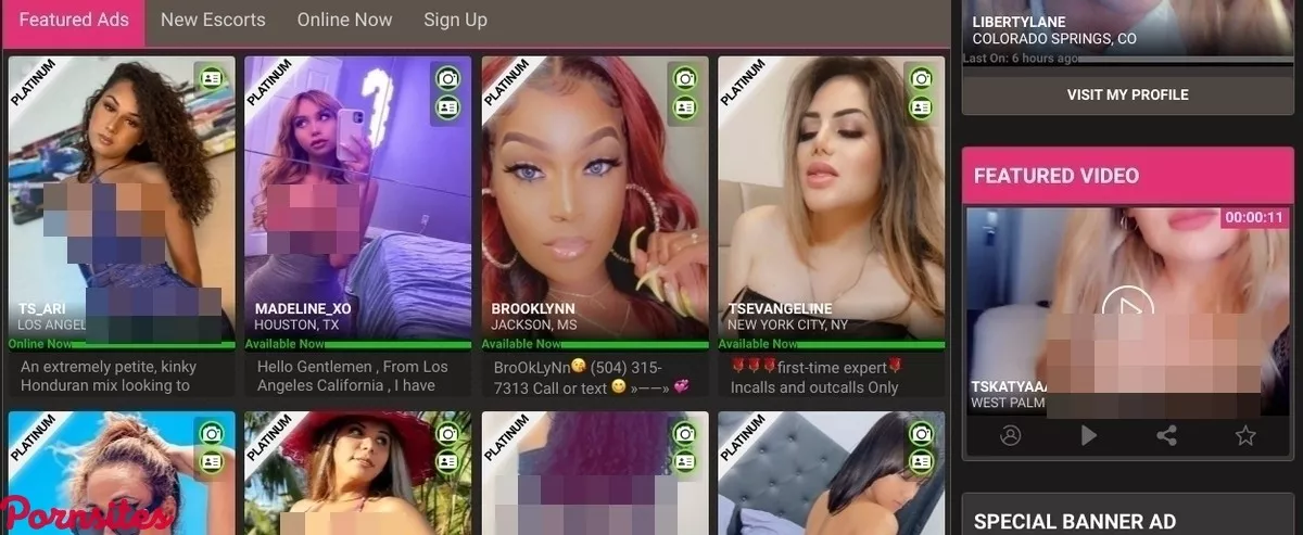 TS4Rent
