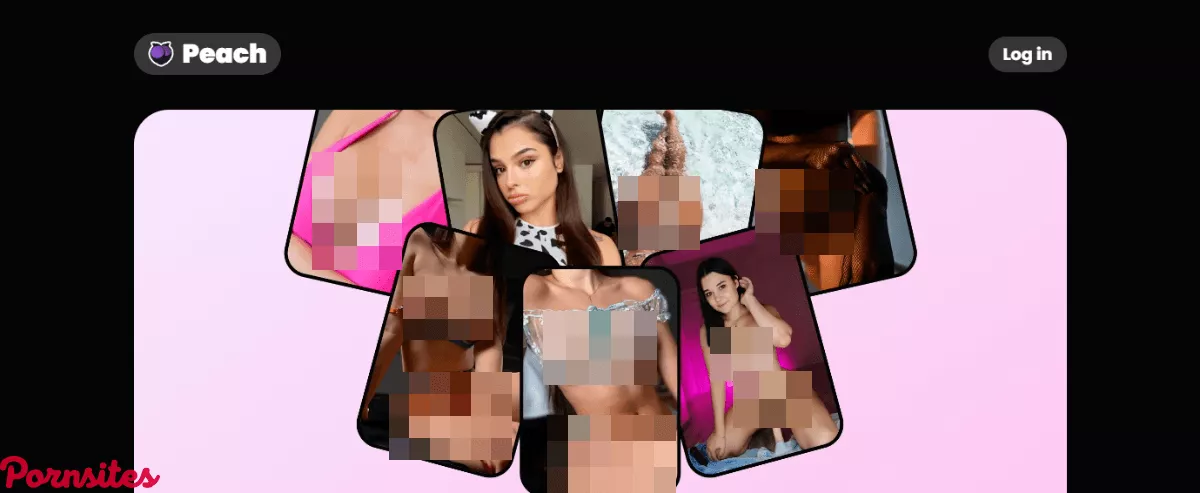 VIP Pussy